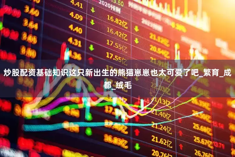 炒股配资基础知识这只新出生的熊猫崽崽也太可爱了吧_繁育_成都_绒毛